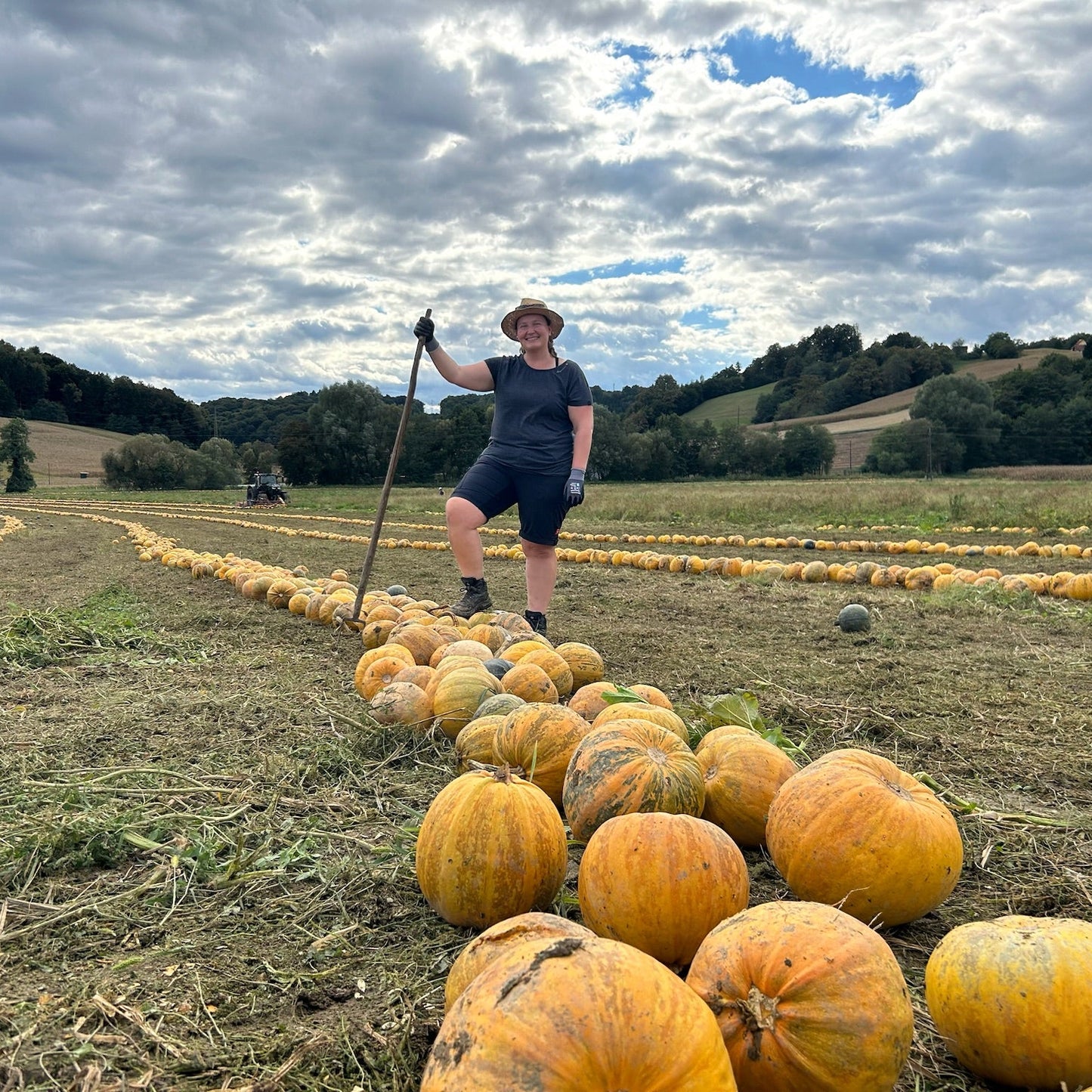 Steirisches Kürbiskernöl 1L